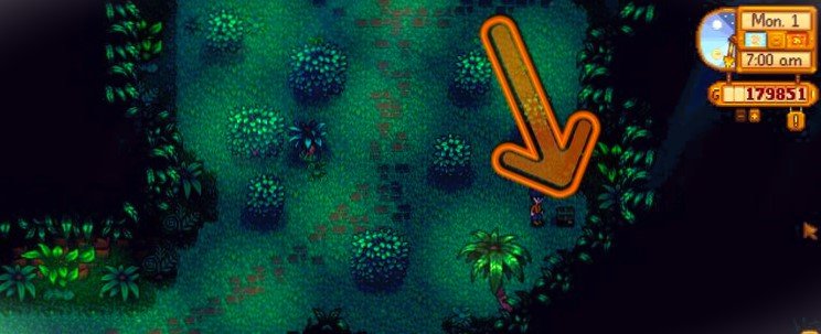 a box in the eastern jungle of ginger island in stardew valley