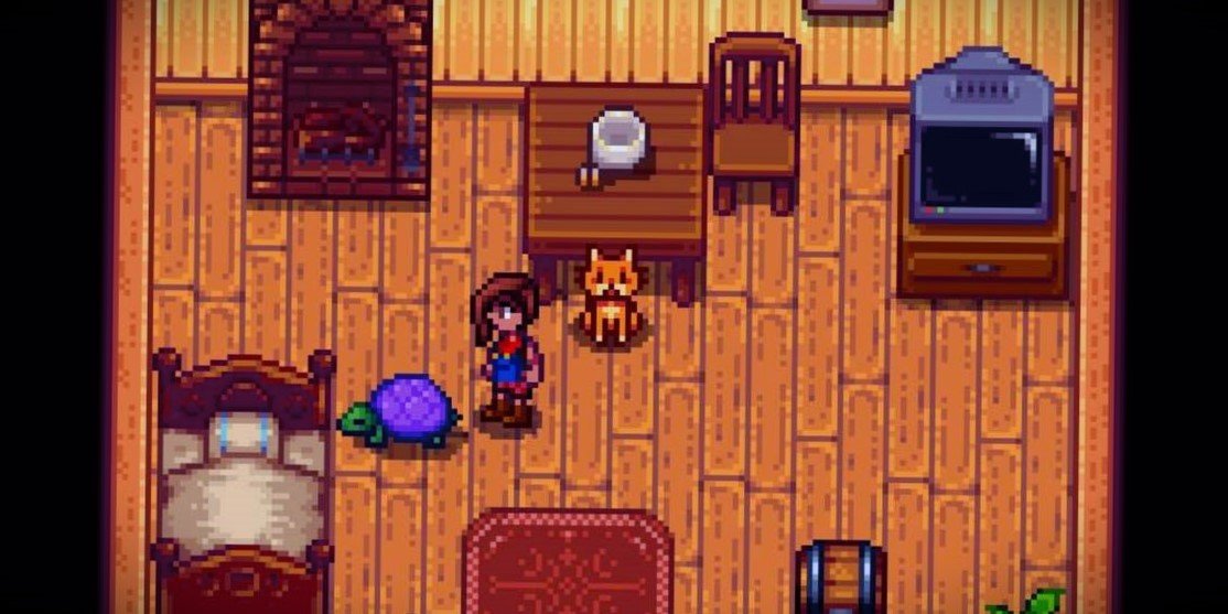 Stardew Valley: How To Get A Pet Turtle